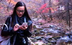 公交车一个接一个的C